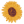 Pixelated yellow sunflower graphic on a white background.